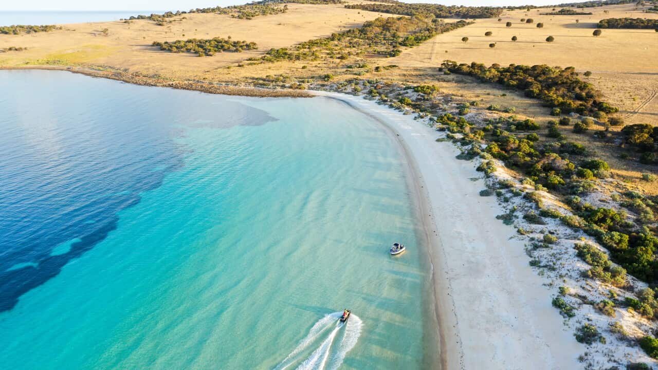 Image for read more article 'READ MORE'