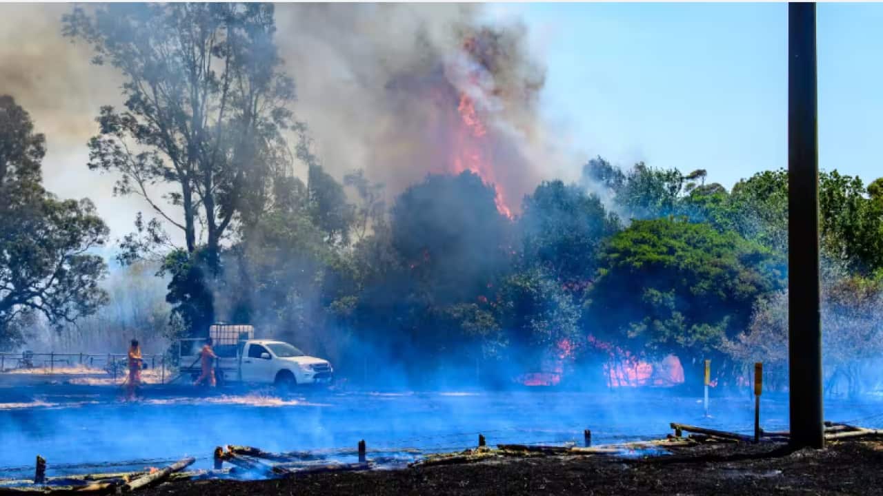 bushfire envelops trees in Lockwood East, Victoria. S.png