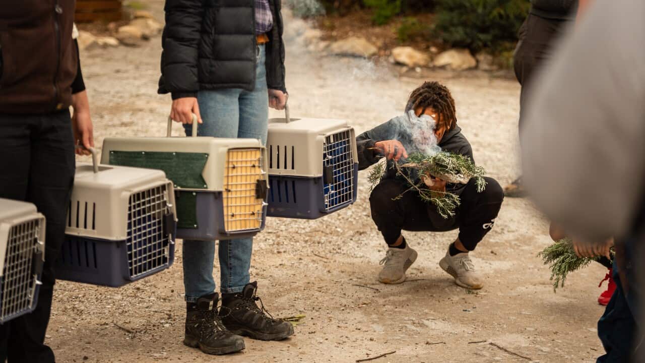 Smoking ceremony before the release of brush-tailed bettongs on Yorke Peninsula.