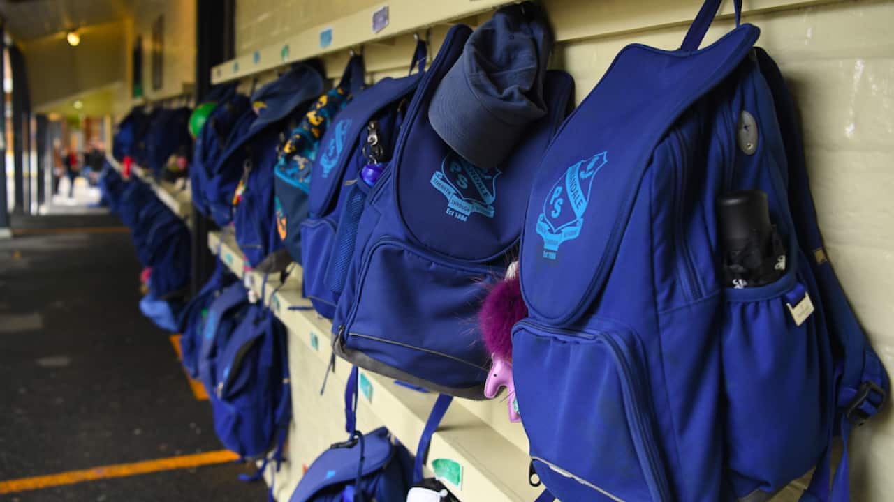 Image for read more article 'READ MORE'