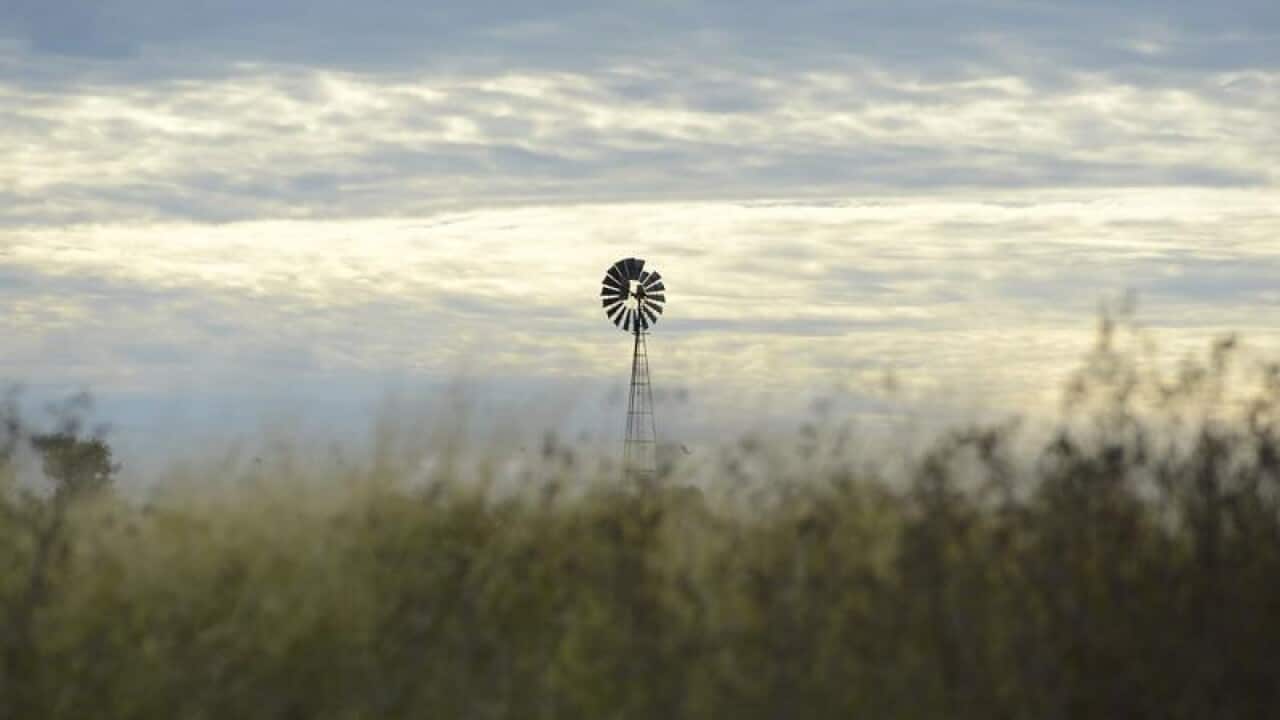 A windmill is seen on a property.