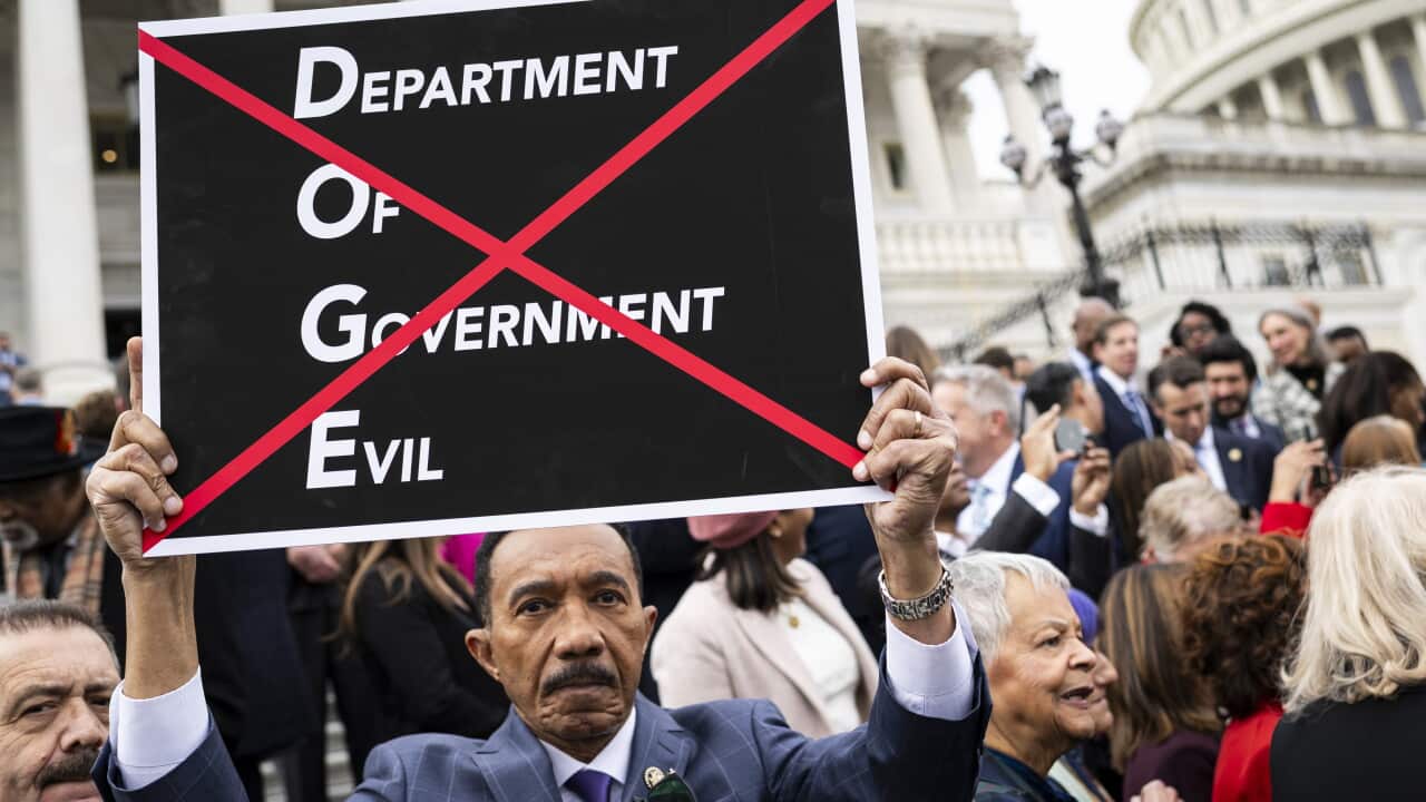 US federal technology staffers quit over Musk’s dismantling of public services US federal technology staffers quit over Musk’s dismantling of public services