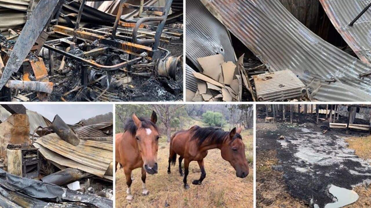 Remains of Jeremy's Farm