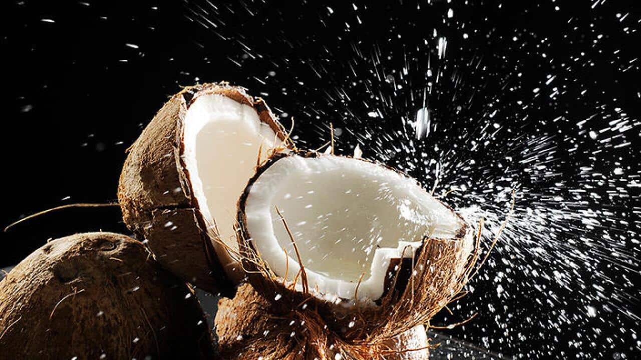 coconut