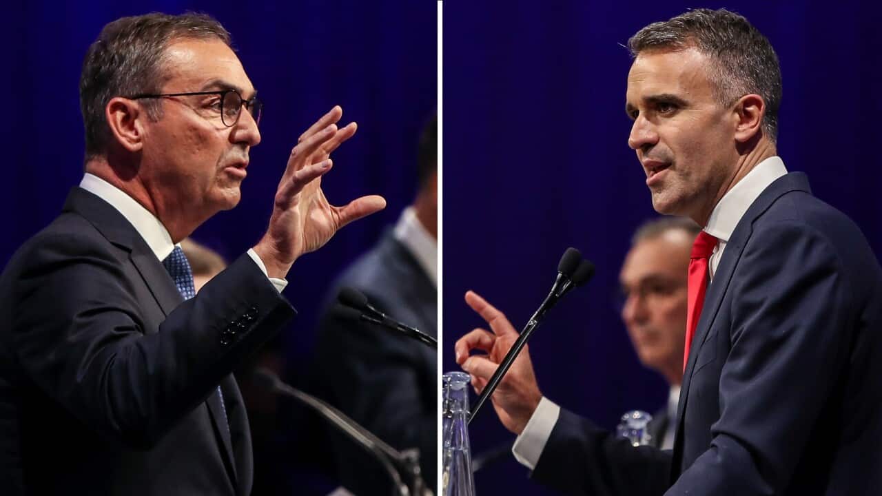 Steven Marshall and Peter Malinauskas