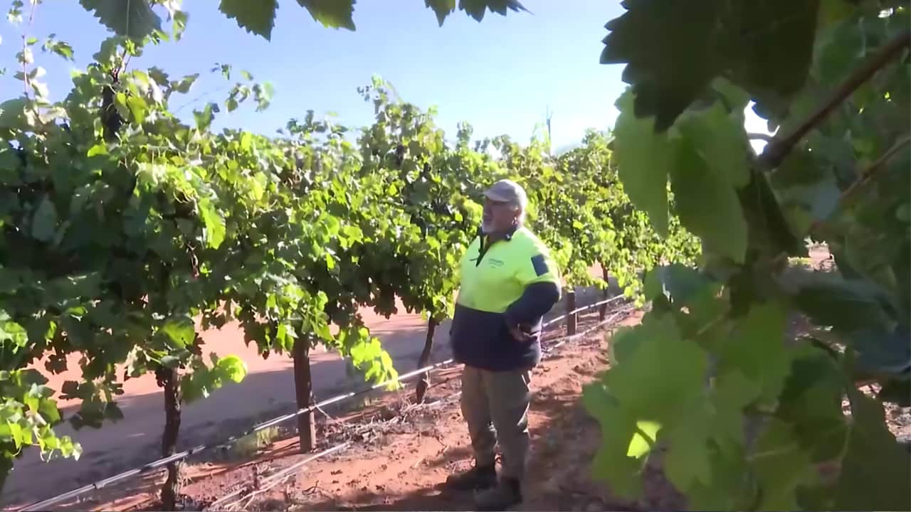 Image for read more article 'READ MORE'