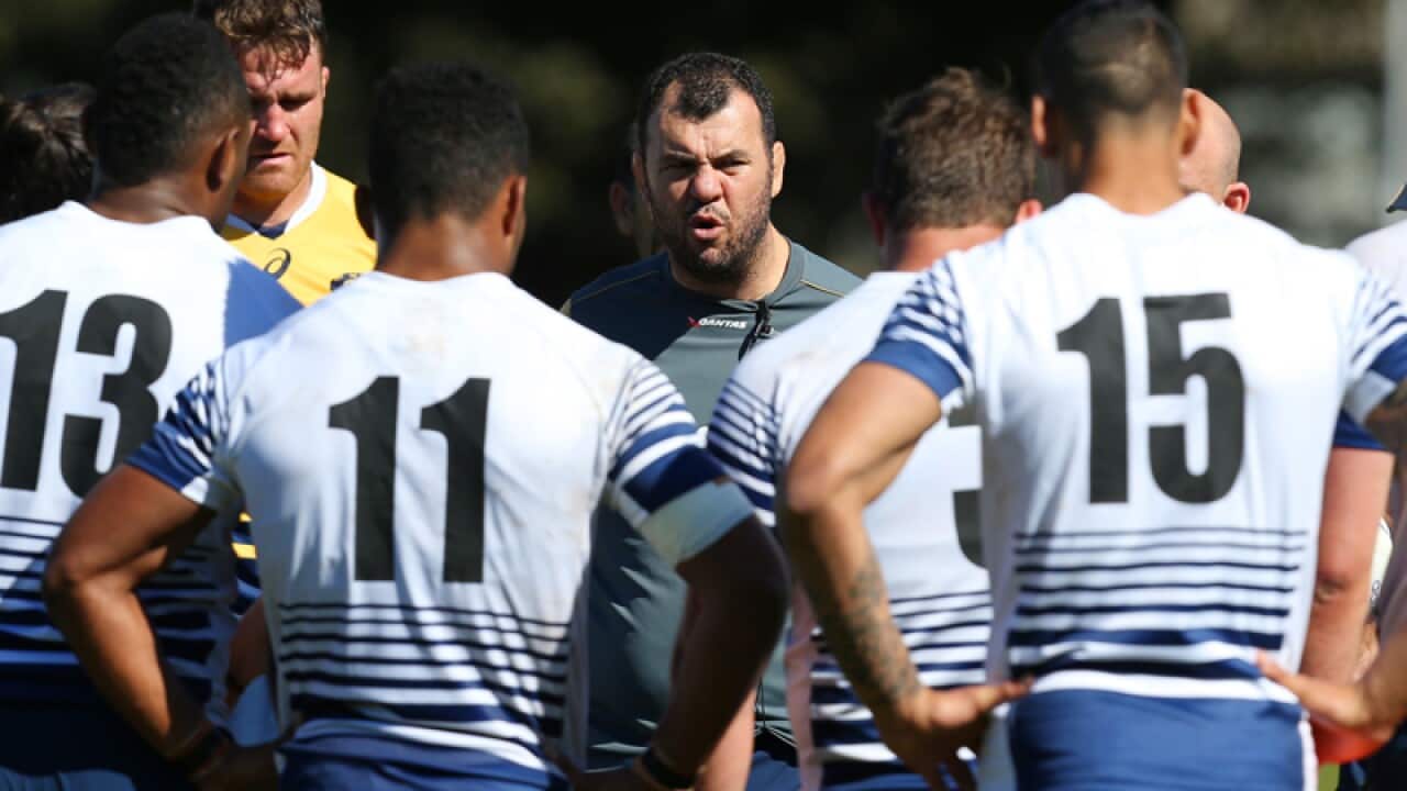 Wallabies coach Michael Cheika speaks to his players