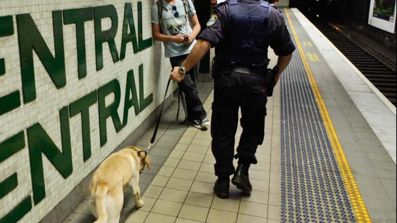 Police with niffer dog at railway station