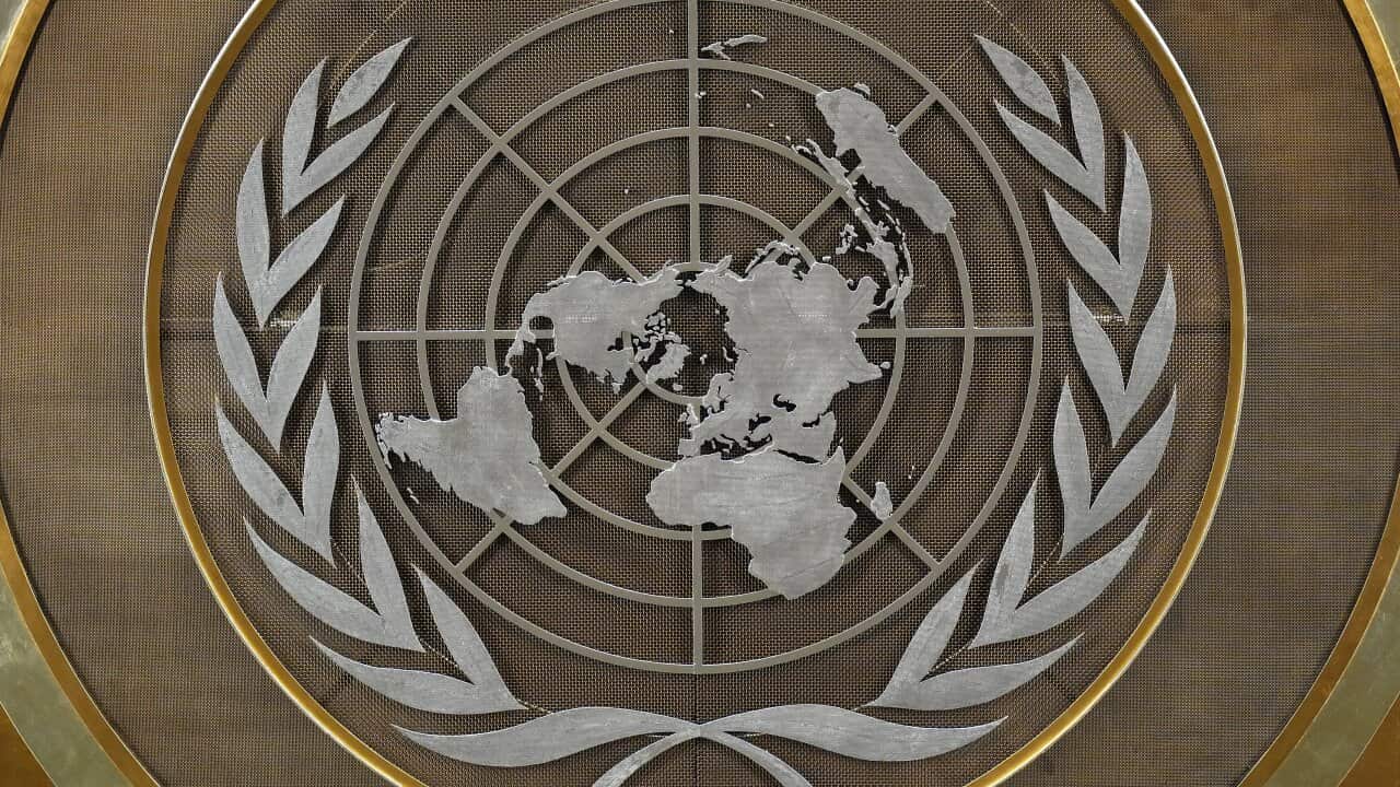 United Nations-Misconduct