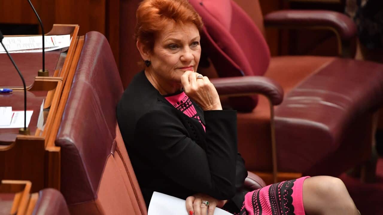 One Nation leader Senator Pauline Hanson in the Senate chamber at Parliament House in Canberra, Thursday, November 12, 2020. (AAP Image/Mick Tsikas) NO ARCHIVING