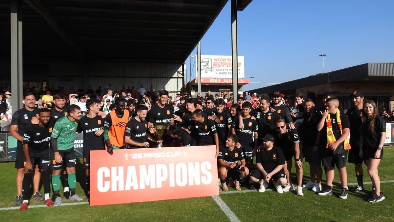 Maso Cup Championsip 2026.jpg