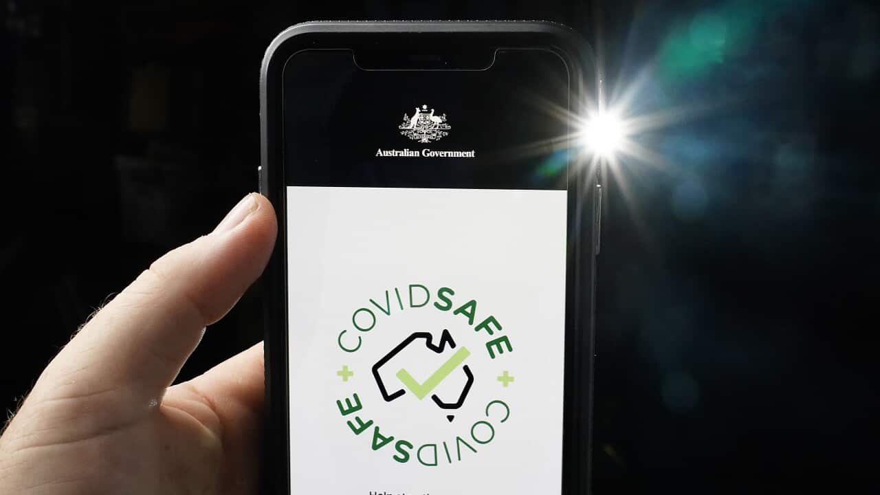 Despite 6 million downloads, the COVIDSafe app is yet to detect any unknown coronavirus contacts