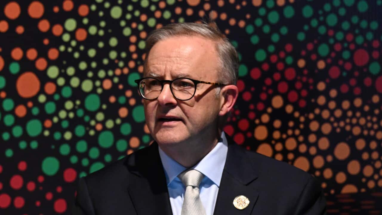 Anthony Albanese stands at a lectern in front of a projection of First Nations art on a gallery wall