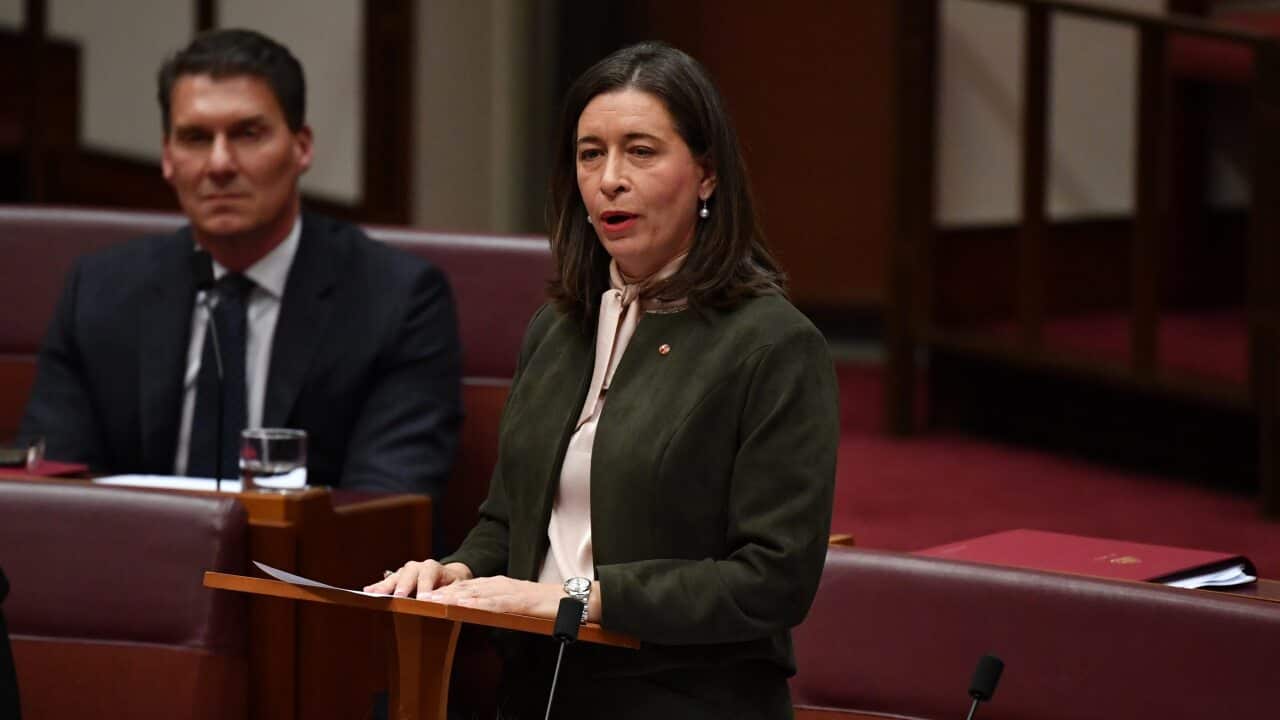 Nationals Senator Susan McDonald makes her maiden speech in the Senate Chamber at Parliament House in Canberra.