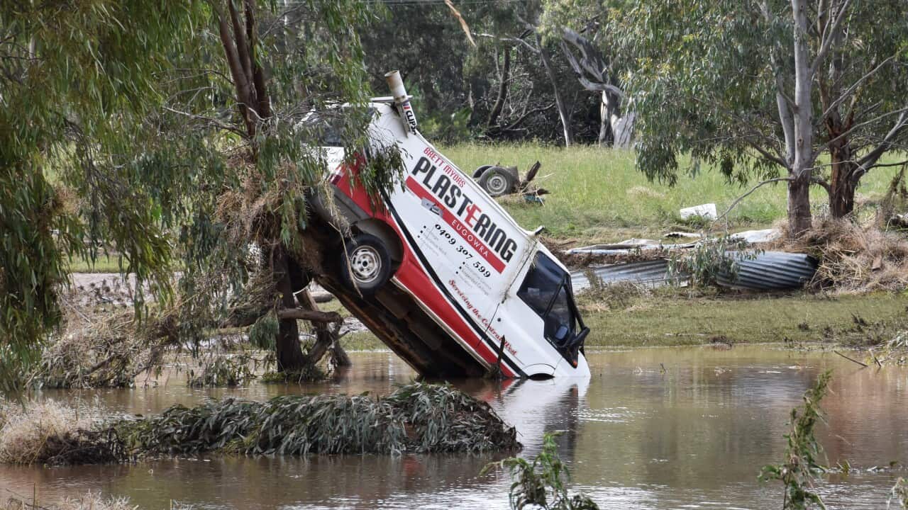 NSW FLOODS