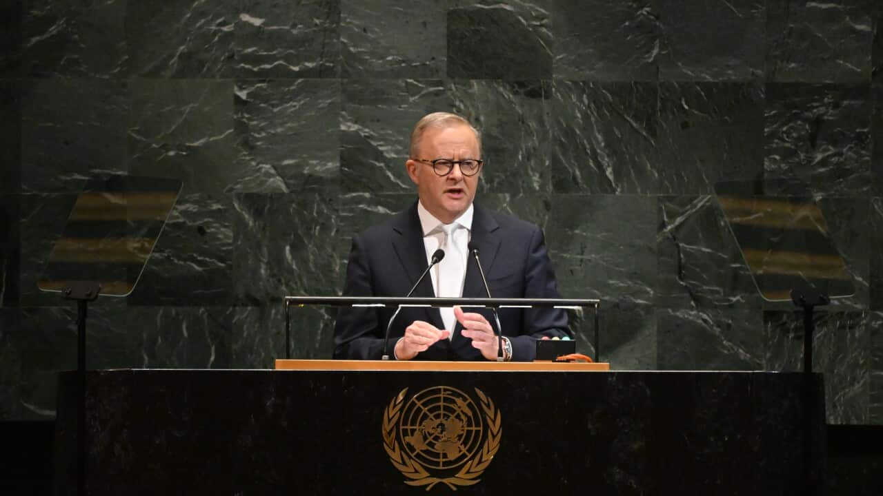 ANTHONY ALBANESE UNITED NATIONS