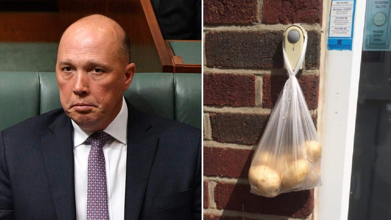 Peter Dutton in Parliament and potatoes posted on social media.