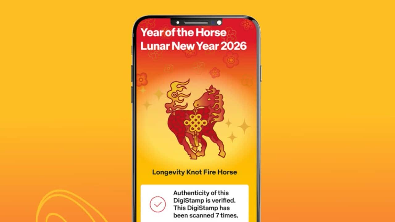 digital on the phone 2026-02-16_14-22-06.jpg