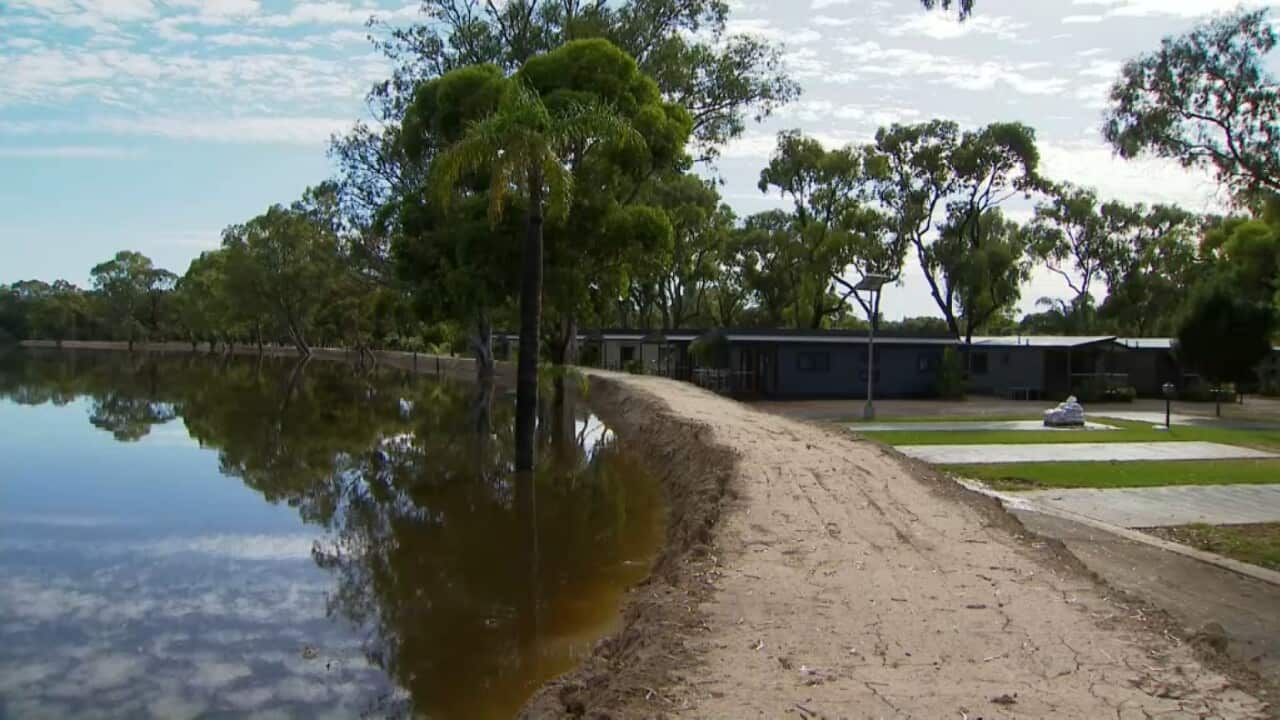 A levee holds the river back from a riverside campside in South Australia (SBS).jpg