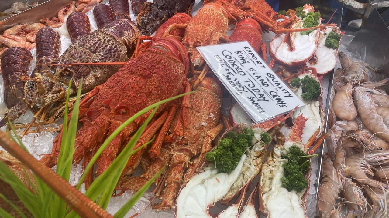 Prawns Lobesters3.jpeg