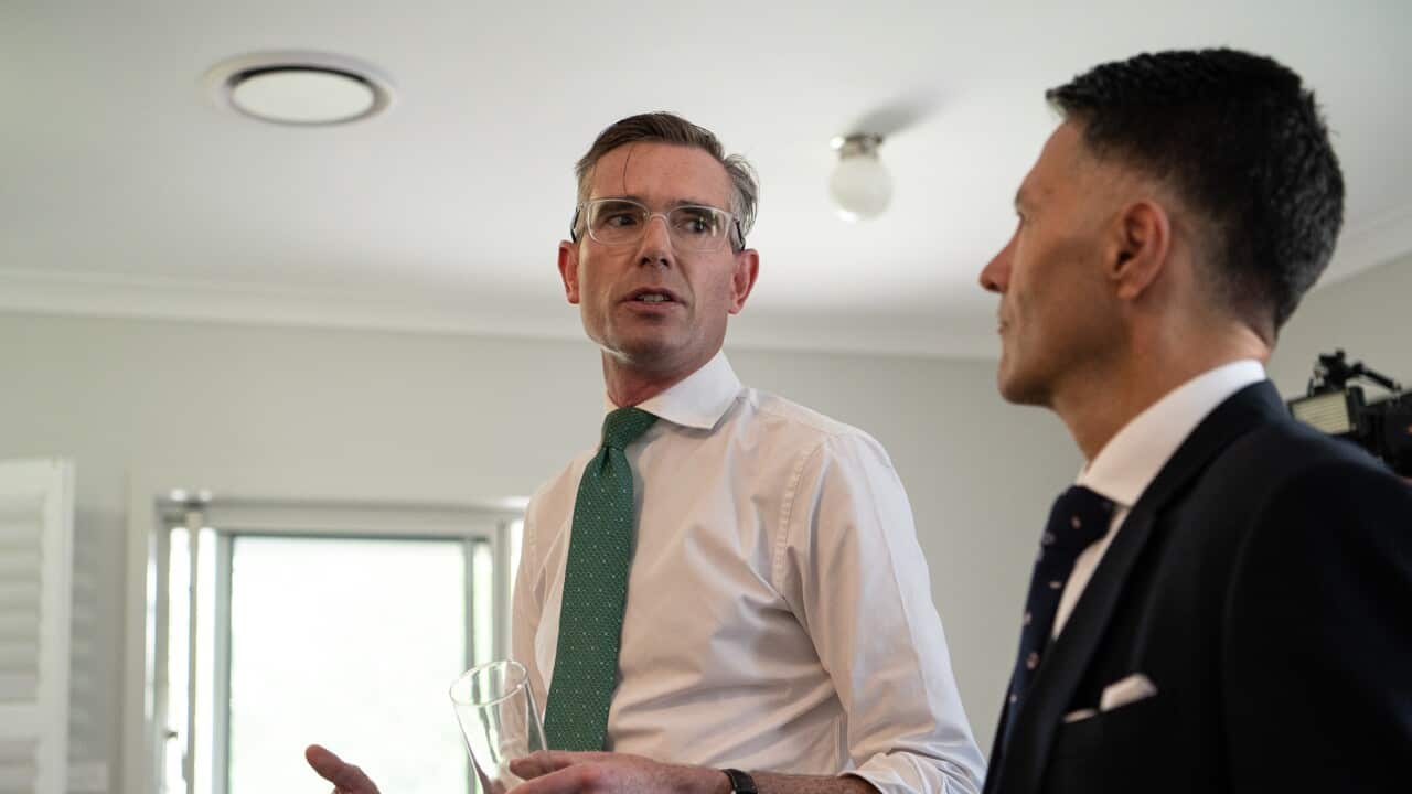 DOMINIC PERROTTET RENTERS PRESSER