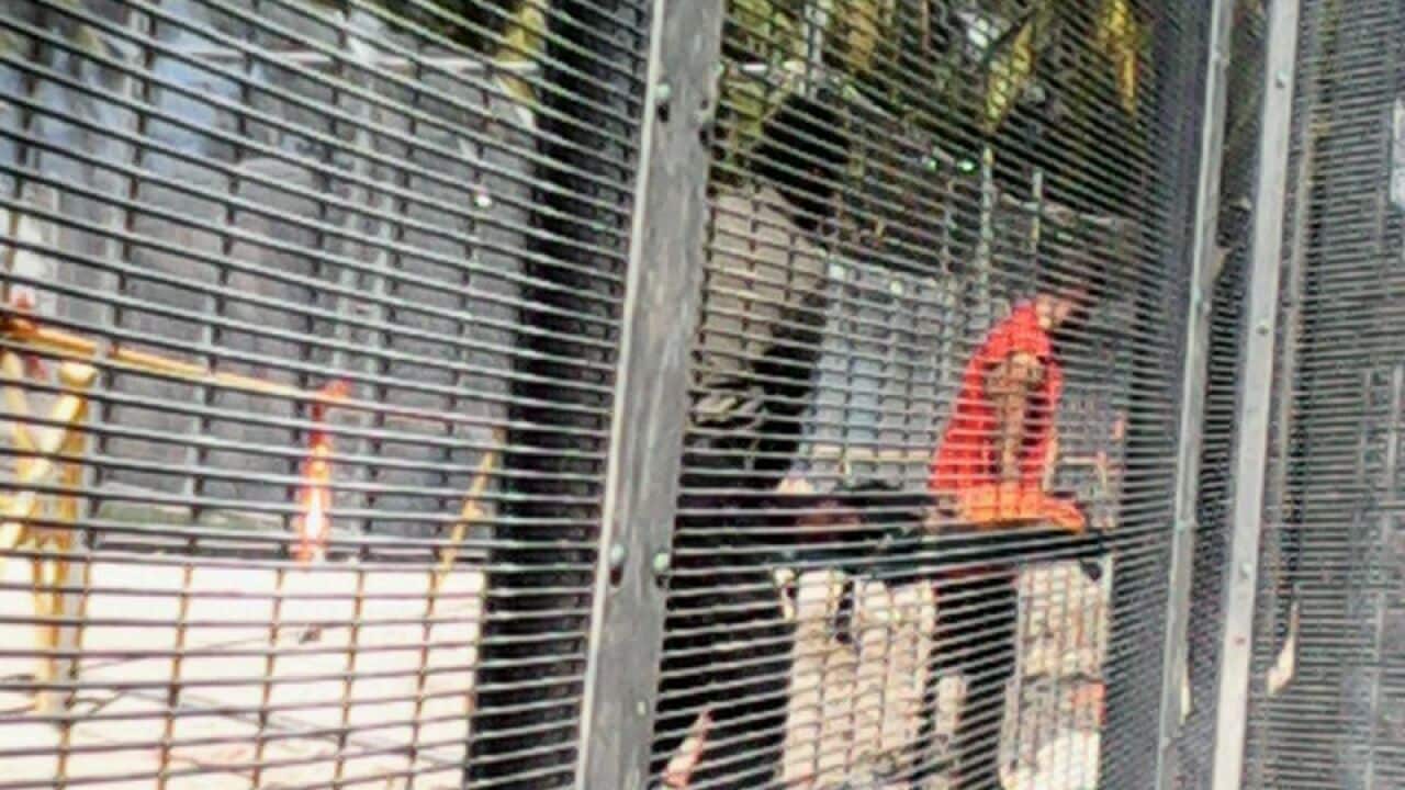Asylum seekers at the Manus Island detention centre