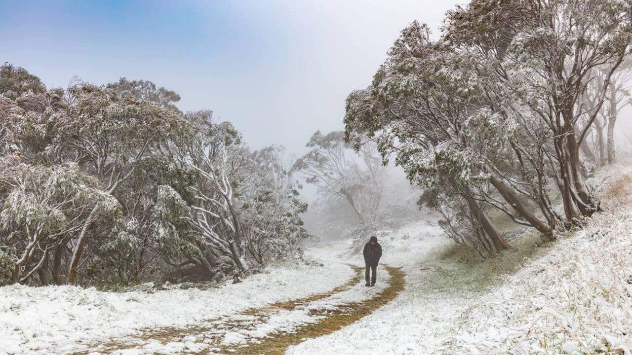 Snow is falling in what is one of the hottest months of the year in Australia.