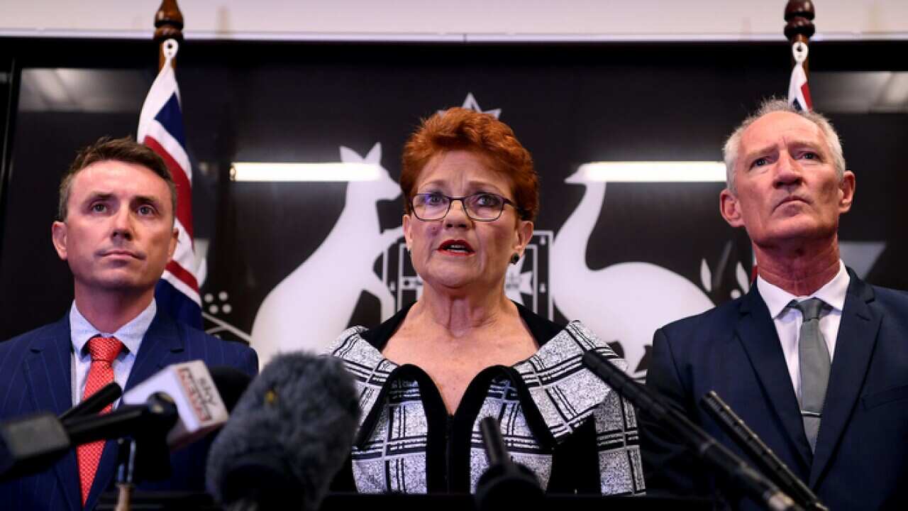 Pauline Hanson defiant over guns scandal SBS Persian(04)