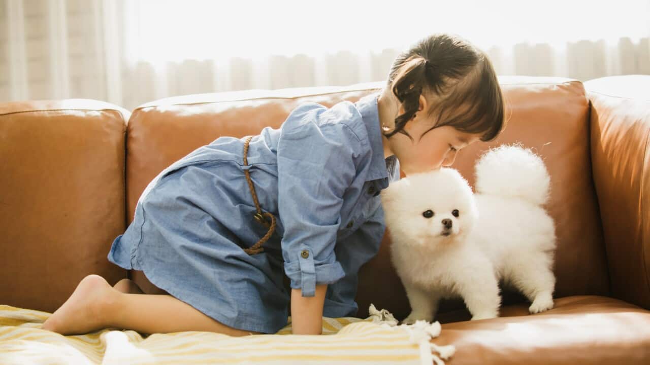 Image for read more article '相關內容'