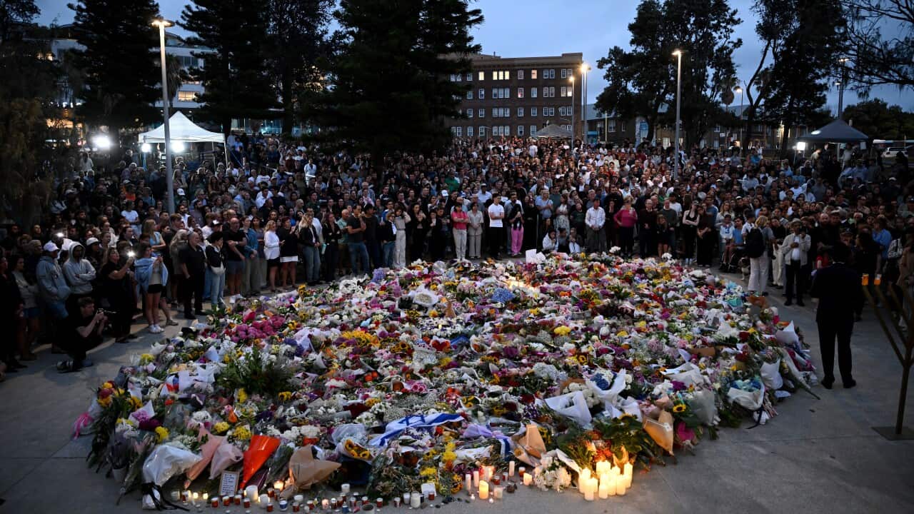 Image for read more article 'READ MORE'