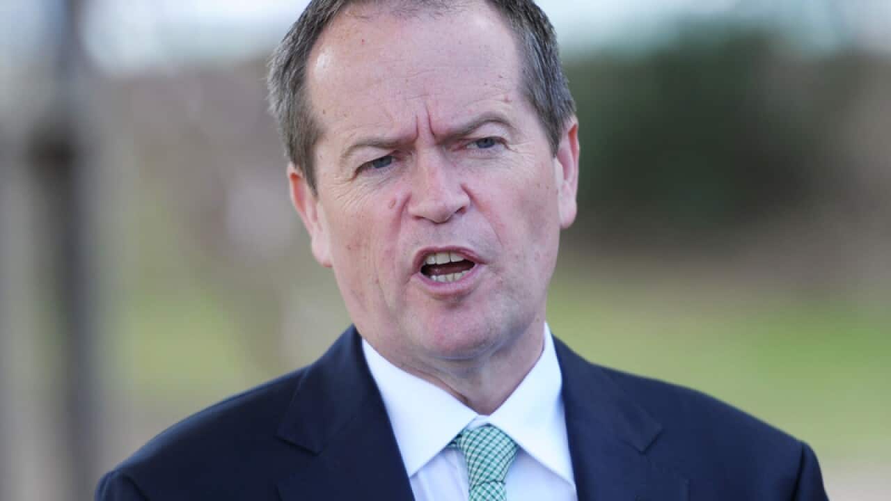Labor leader Bill Shorten