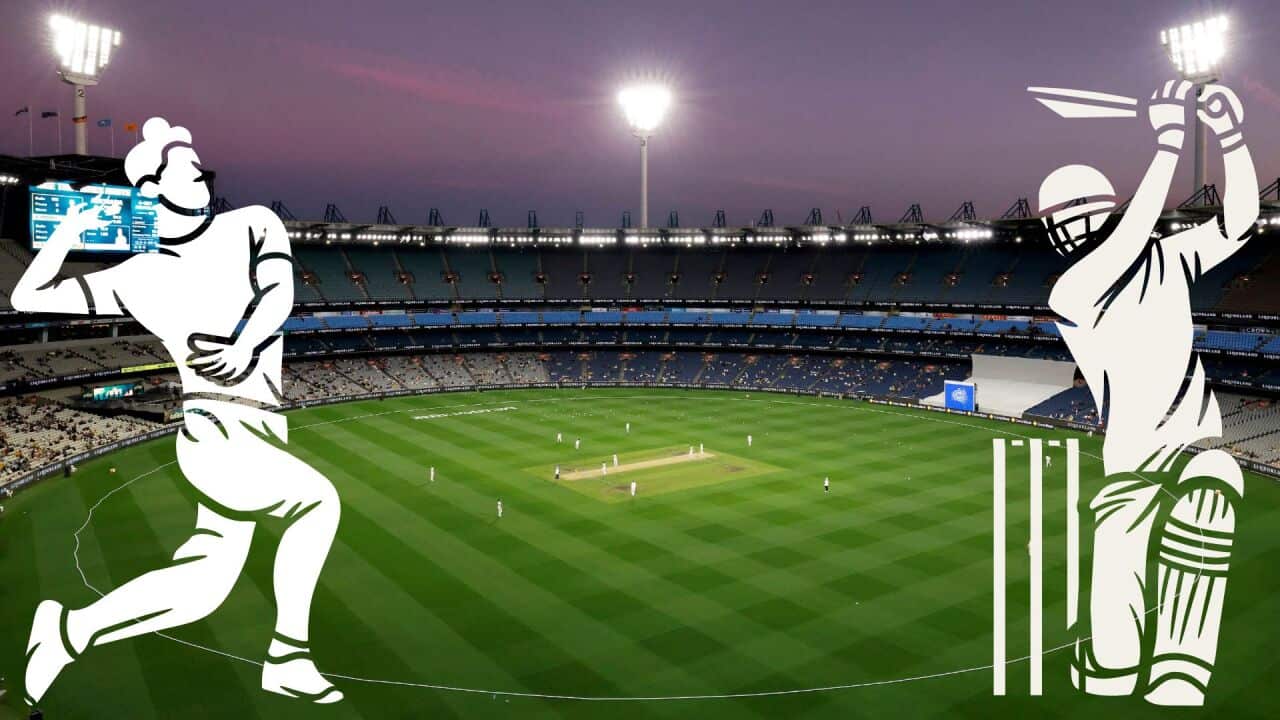 Cricket