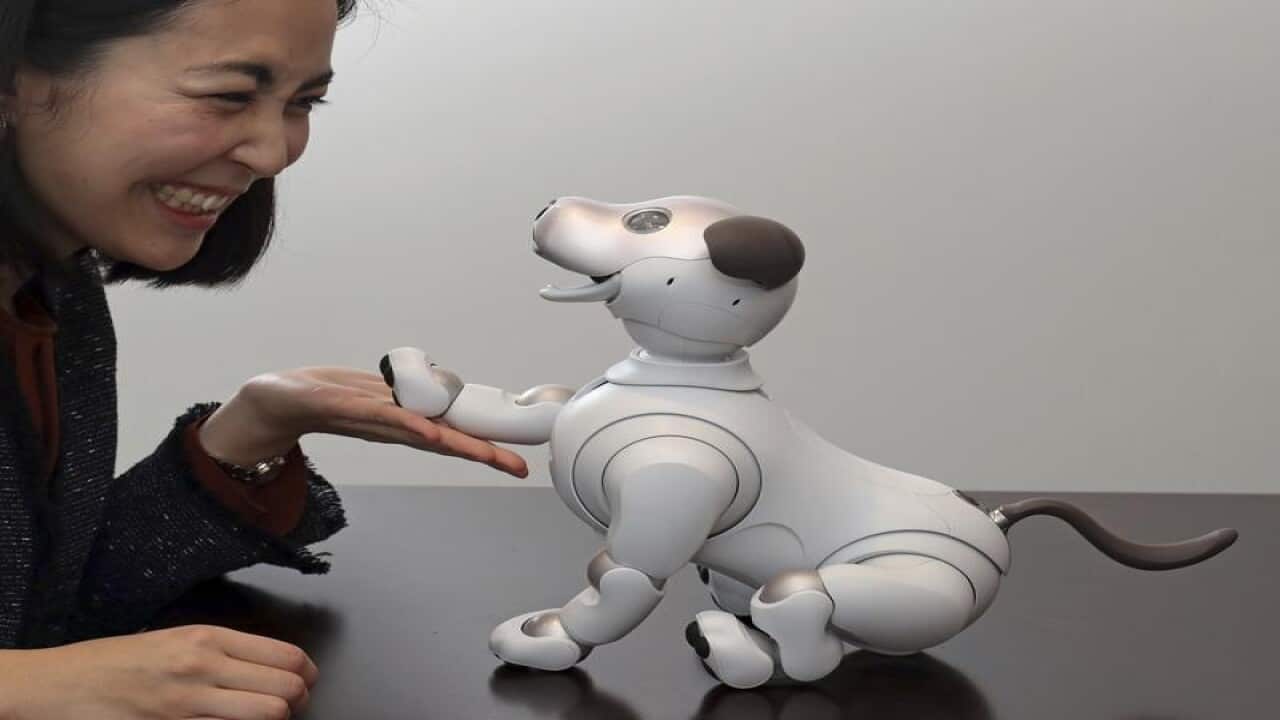 Image for read more article 'READ MORE'