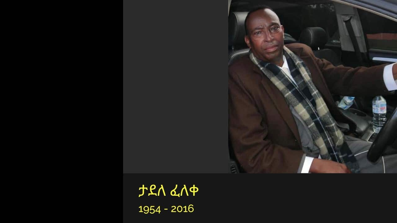 Tadele Feleke.jpg