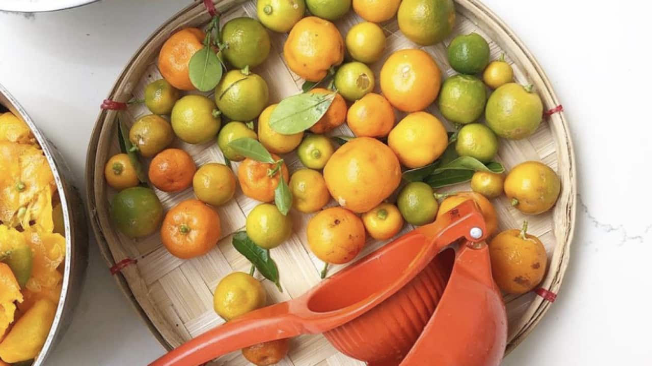 Image for read more article 'Filipino flavours'