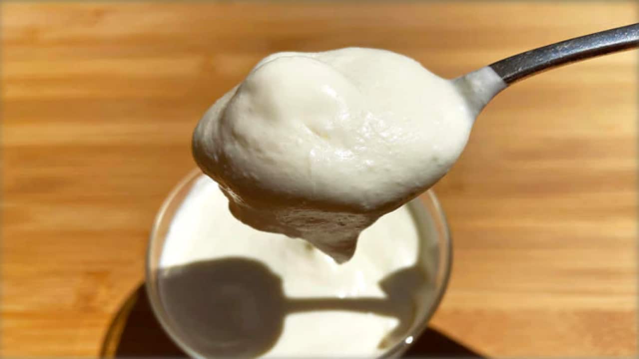 Homemade sour cream (Camellia Aebischer)