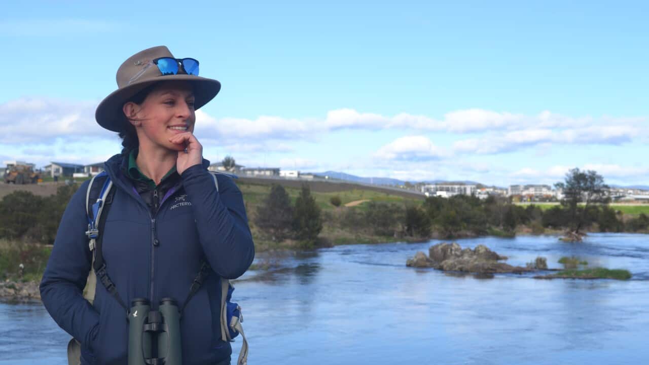 DAVID POCOCK PLATY PROJECT