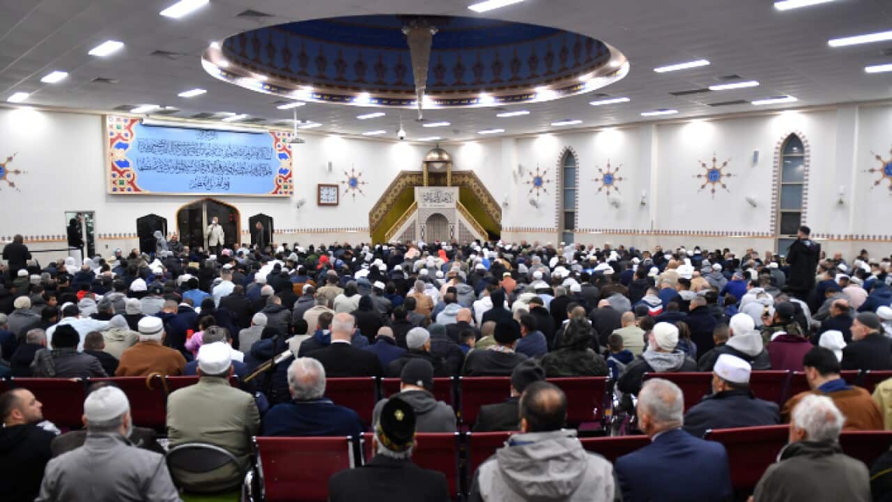 Image for read more article 'READ MORE'