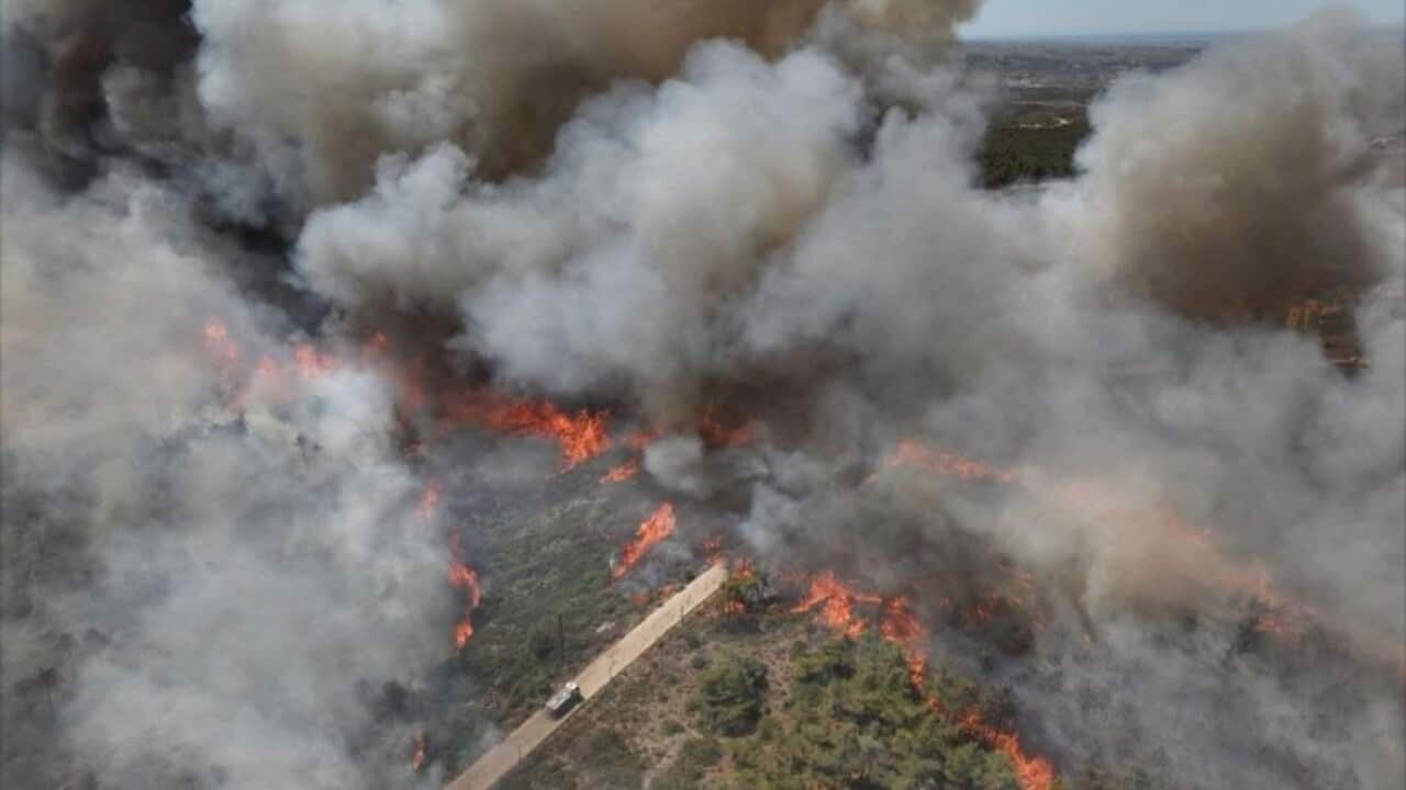 Fire in Latakia coast in Syria - by Maher Jamous.jpg