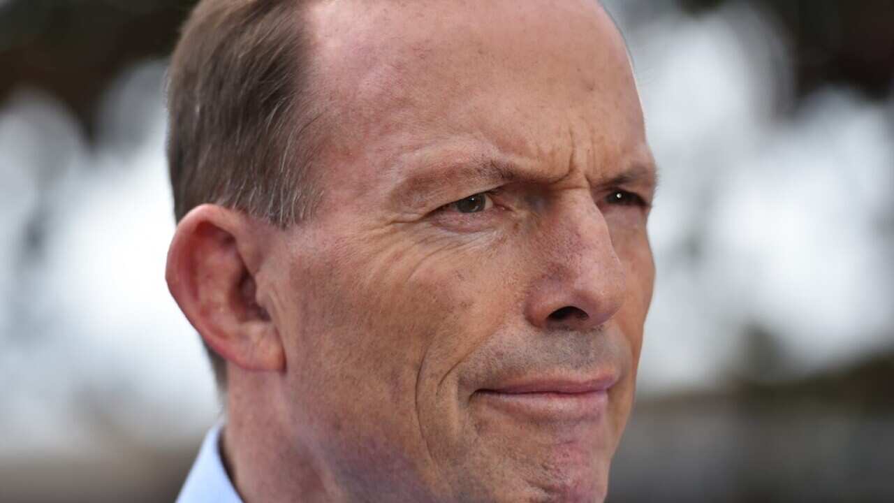 Tony Abbott