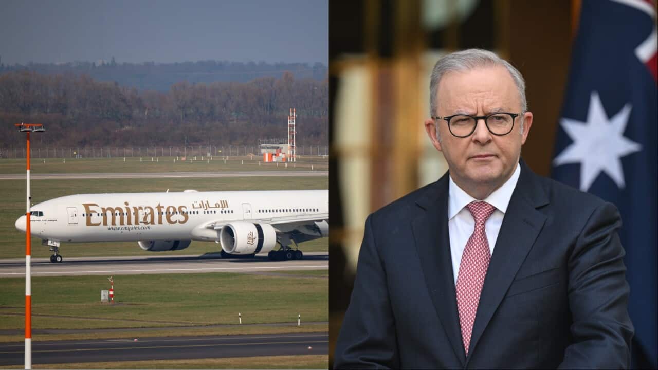 A composite image of an Emirates plane and Anthony Albanese