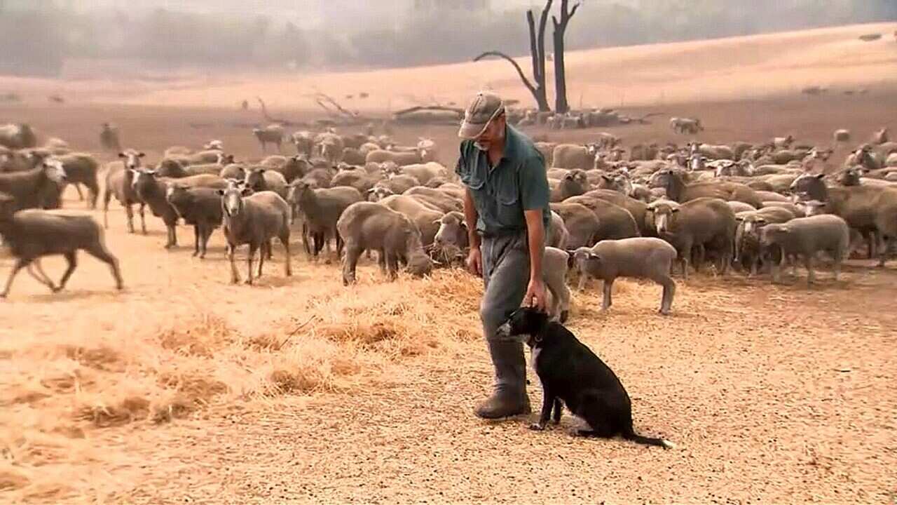 Stephen Hill and 'wonderdog' Patsy