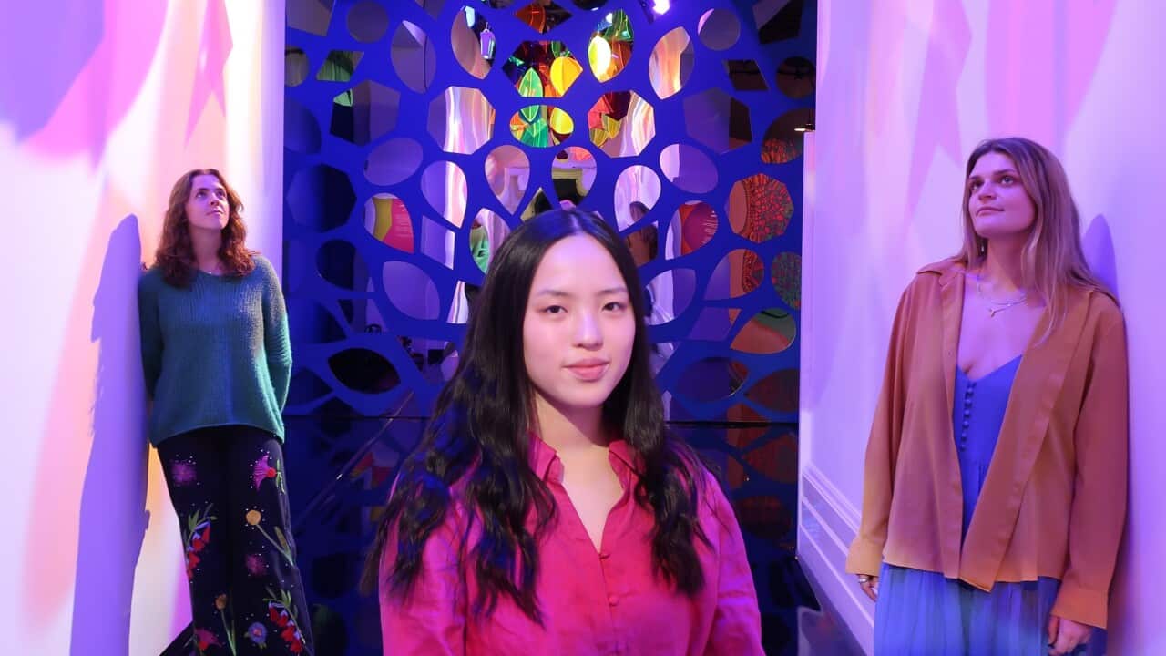 IMG_5279 (1) croped.JPG