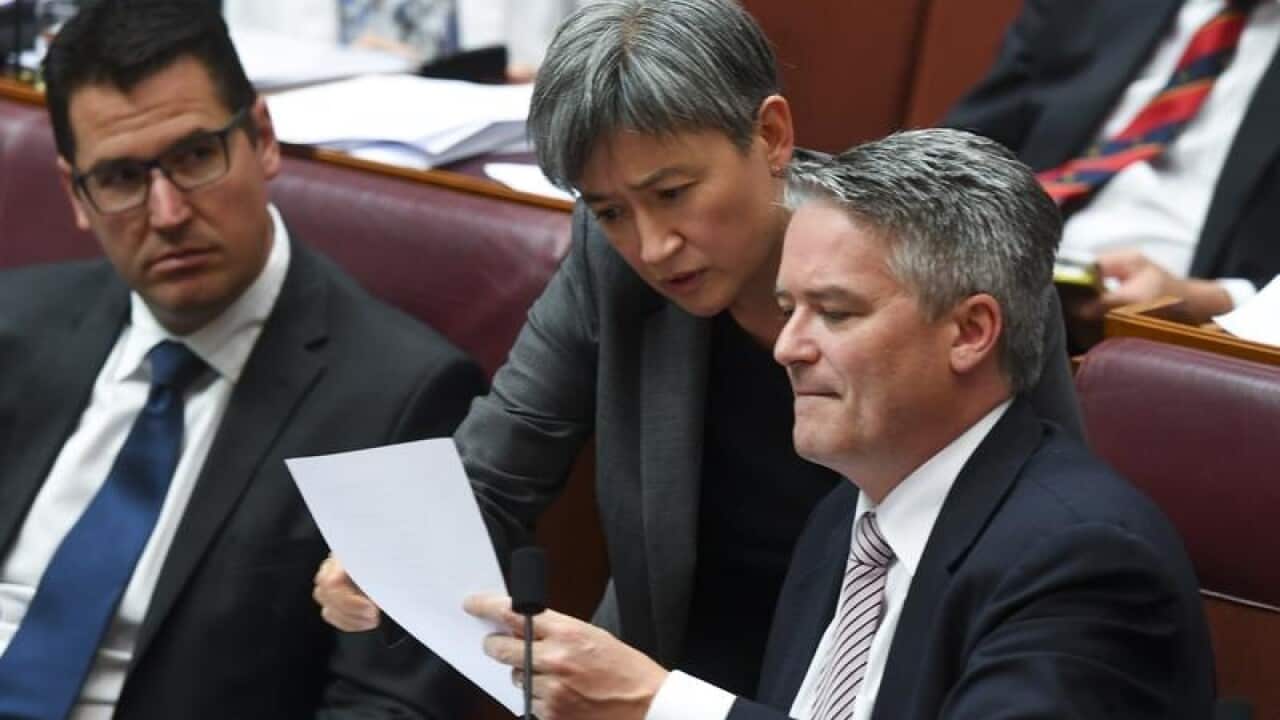Leader of the Opposition in the Senate Penny Wong