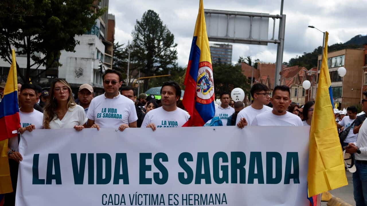 Image for read more article 'Mira también:'