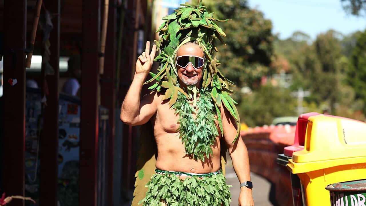 NIMBIN MARDIGRASS 2023