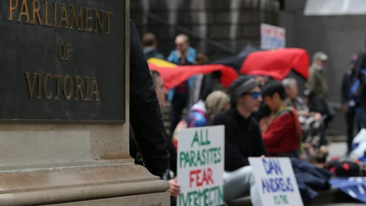 Protestors are seen during a demonstration outside the Victorian State Parliament in Melbourne.