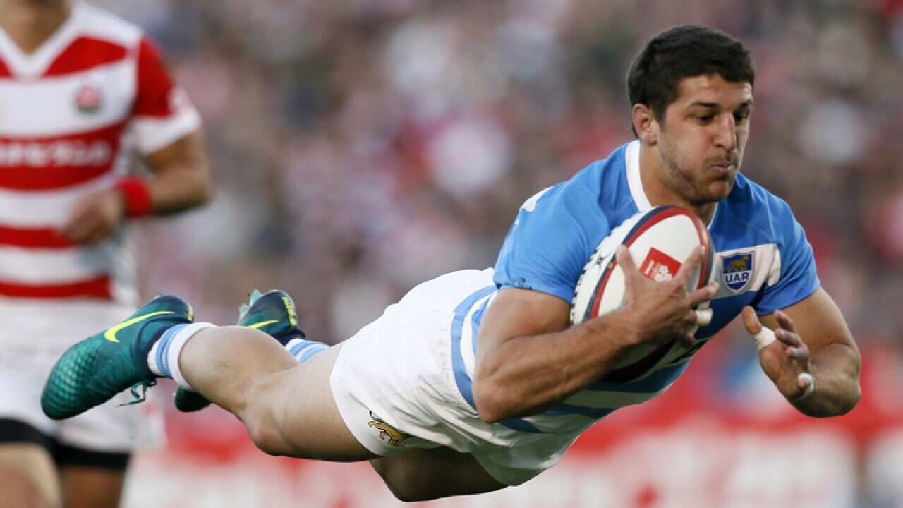 ACT Brumbies Argentine halfback Tomas Cubelli