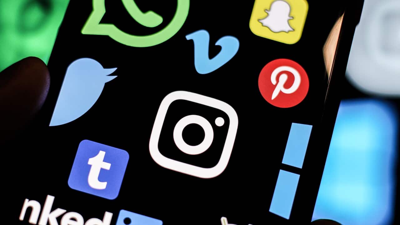 Popular Social Media Logos