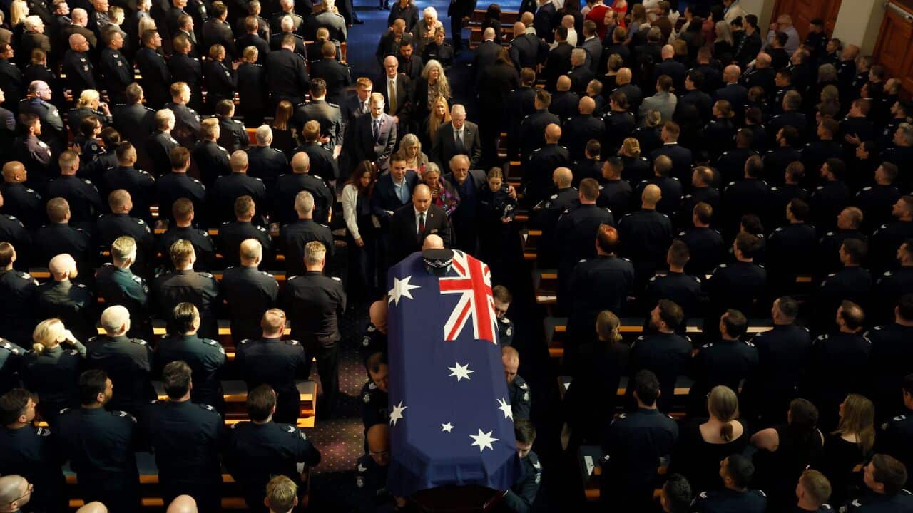 Image for read more article 'READ MORE'